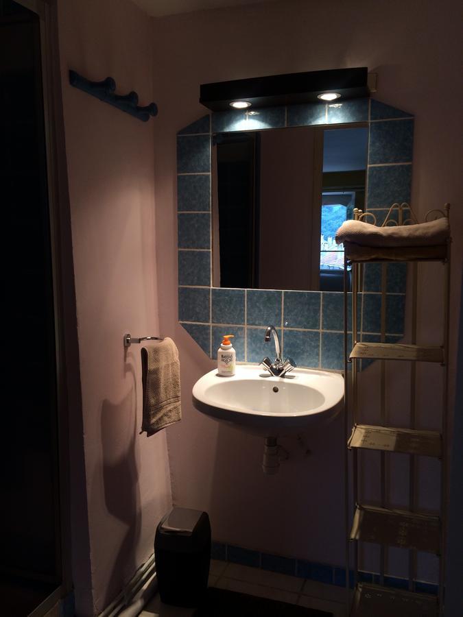 Au Detour Du Larrech Bed and Breakfast Castillon-en-Couserans Eksteriør billede